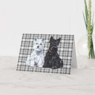 Schotse Terrier Wenskaart Kaart