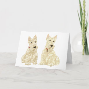 Schotse Terrier Wenskaart Kaart
