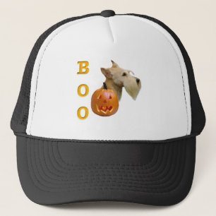 Schotse Terriër (wheaten) Boo Trucker Pet