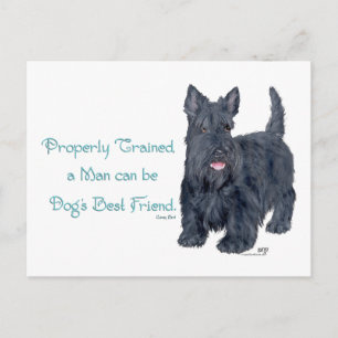 Schotse Terrier Wijsheid &wijsheid - Training Briefkaart