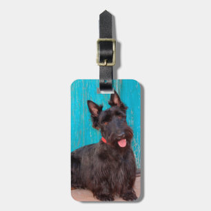 Schotse Terrier zit bij kleurrijke deur Bagagelabel