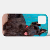Schotse terriër zit bij kleurrijke deur Case-Mate iPhone case (Achterkant (horizontaal))
