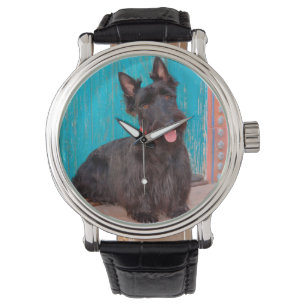 Schotse terriër zit bij kleurrijke deur horloge