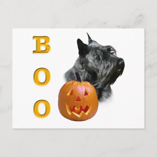 Schotse Terriër (zwart) Boo Briefkaart (Voorkant)