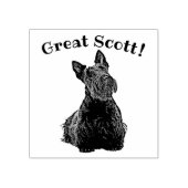 Schotse Terrier, zwart/wit, Great Scott! Rubberstempel (Afrduk)