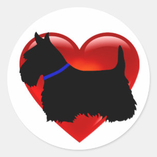 Schotse Terriër zwart/wit hart, blauwe kraag Ronde Sticker