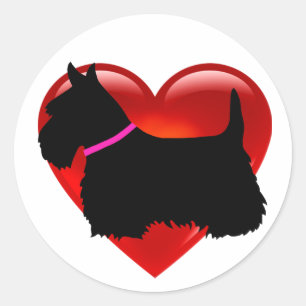 Schotse Terriër zwart/wit hart, roze kraag Ronde Sticker