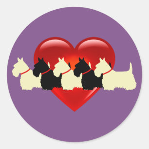 Schotse Terriër zwart/wit rood hart/kraag Ronde Sticker