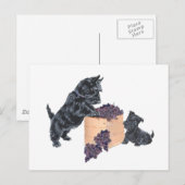 Schotse Terriërs Druivenoogst Briefkaart (Voorkant / Achterkant)