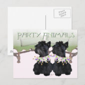 Schotse Terriërs Feestbeest Briefkaart (Voorkant / Achterkant)