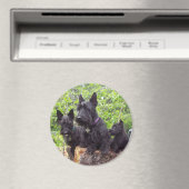 Schotse Terriers Magneet (Insitu (Vaatwasser))