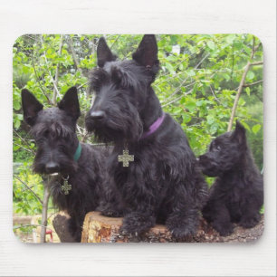 Schotse Terriers Muismat