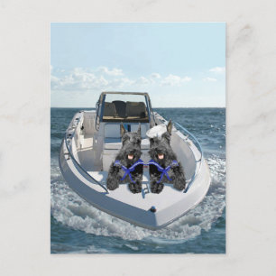 Schotse Terriers op de boot Briefkaart
