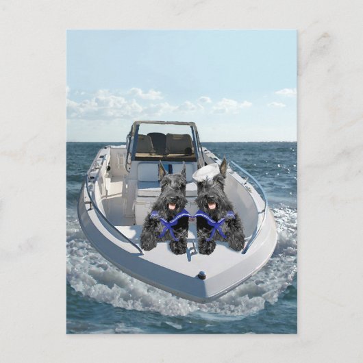 Schotse Terriers op de boot Briefkaart (Voorkant)