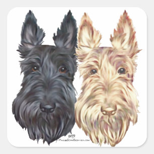 Schotse Terriers voor zwart en wieltjes Vierkante Sticker