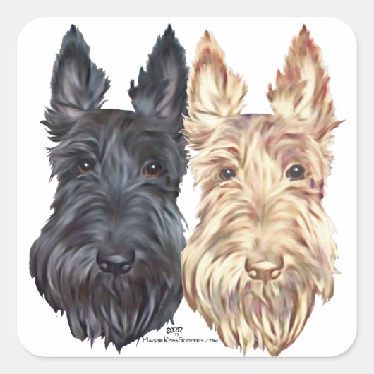 Schotse Terriers voor zwart en wieltjes Vierkante Sticker (Voorkant)