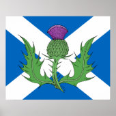 Schotse Thistle en Saltire Poster (Voorkant)