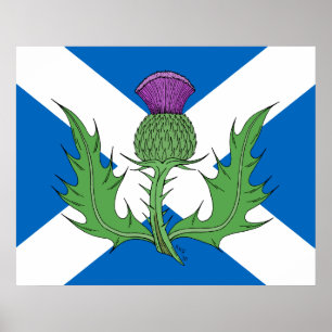 Schotse Thistle en Saltire Poster