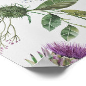 Schotse Thistle Poster (Hoek)