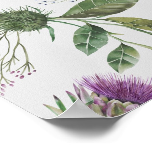 Schotse Thistle Poster (Hoek)