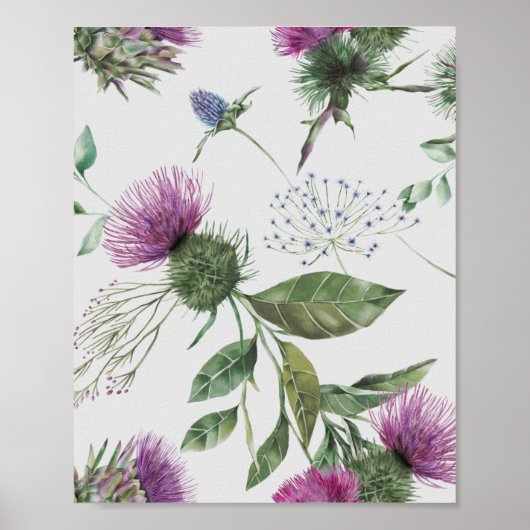 Schotse Thistle Poster (Voorkant)