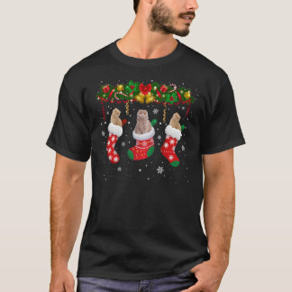 Schotse vette katten met kerstsokken funny Scottis T-shirt