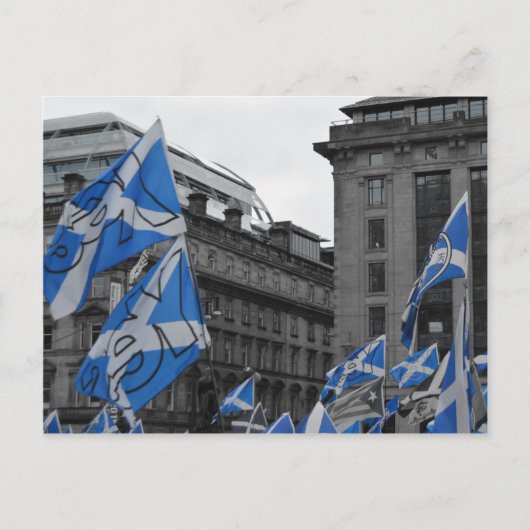 Schotse vlaggen vliegen trots in Glasgow Briefkaart (Voorkant)