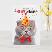 Schotse Vouw Grijs Kat MEOWvelous Verjaardag Kaart (Gele Bloem)