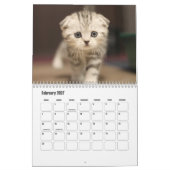 Schotse vouw kat kalender (Feb 2027)