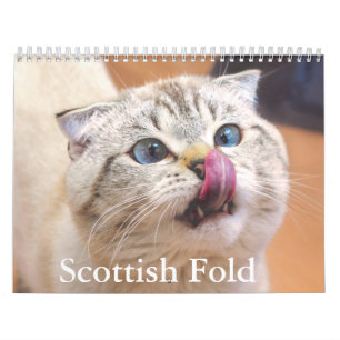 Schotse vouw kat kalender