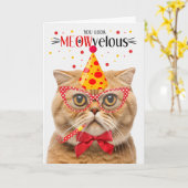 Schotse Vouw Oranje Kat MEOWvelous Verjaardag Kaart (Gele Bloem)