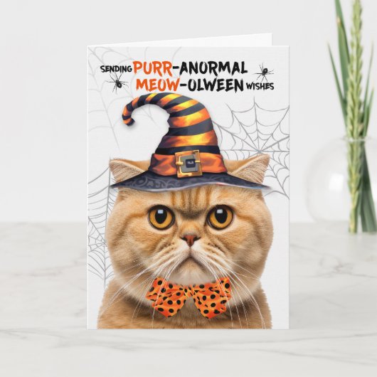 Schotse Vouw Oranje Kat PURRanormale MEOWolween Feestdagen Kaart (Voorkant)