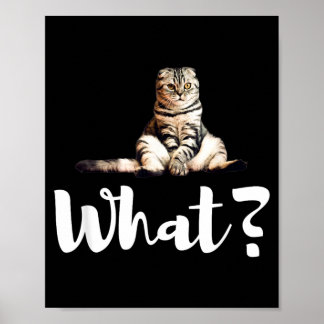 Schotse Vouwkatten Grappig Wat Schattige Kittens C Poster