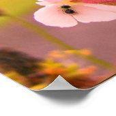 schottenbloem poster (Hoek)