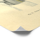 Schouder anatomische voorzijde Poster (Hoek)