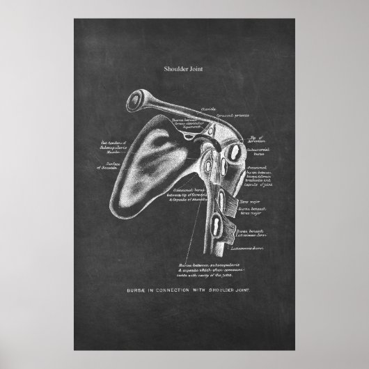 Schouder Gewricht Anatomie Orthopedisch Wanddecor Poster (Voorkant)