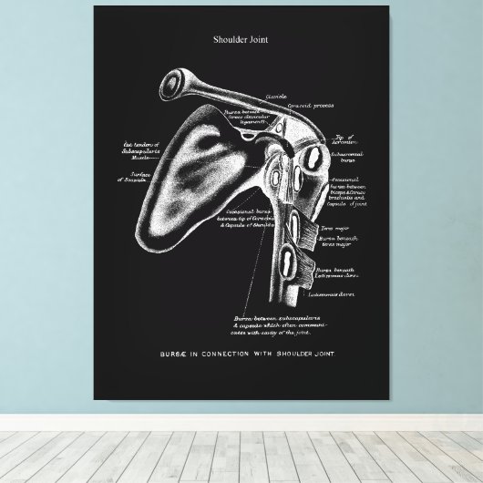 Schouder Joint Anatomy Wall Decor Canvas Afdruk (Insitu (Houten vloer))