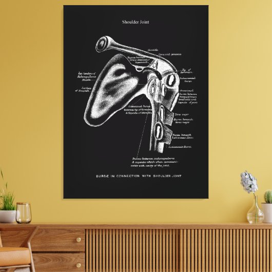 Schouder Joint Anatomy Wall Decor Canvas Afdruk (Insitu (Woonkamer))