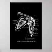 Schouder Joint Anatomy Wall Decor Poster (Voorkant)