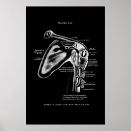 Schouder Joint Anatomy Wall Decor Poster
