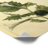 Schouder Jongeren Anatomie Kunst afdrukken Poster (Hoek)