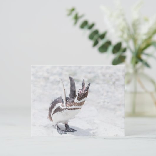 Schouderpinguïn Briefkaart (Staand voorkant)