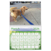 Schrabbel...2013 Kalender (Mar 2026)