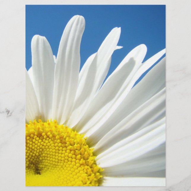 Schrapboek thema papier Bloem Witte Madeliefjes Bl (Voorkant)