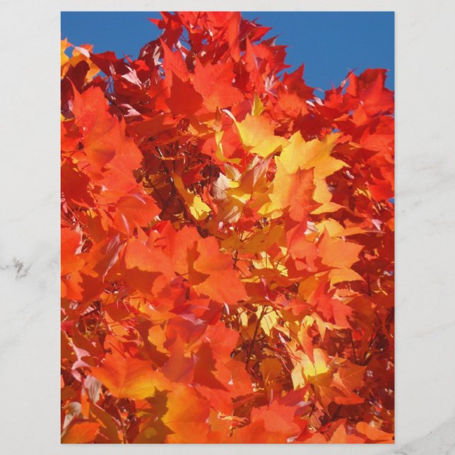Schrapboekpapier Herfst Thema Halloween Oogst (Voorkant)