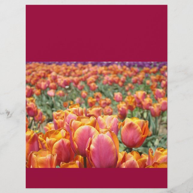 Schrapboekpapier Kleurrijke Tulp Bloemen Festival (Voorkant)