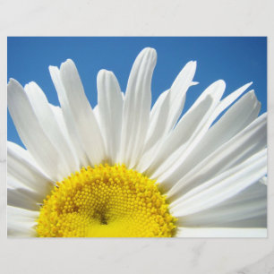 Schrapboekpapier Witte Madeliefjes Bloemen Blauwe