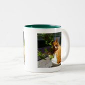 Schraper in een pot tweekleurige koffiemok (Voorkant rechts)