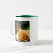 Schraper in een pot tweekleurige koffiemok (Voorkant links)