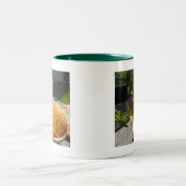 Schraper in een pot tweekleurige koffiemok (Center)